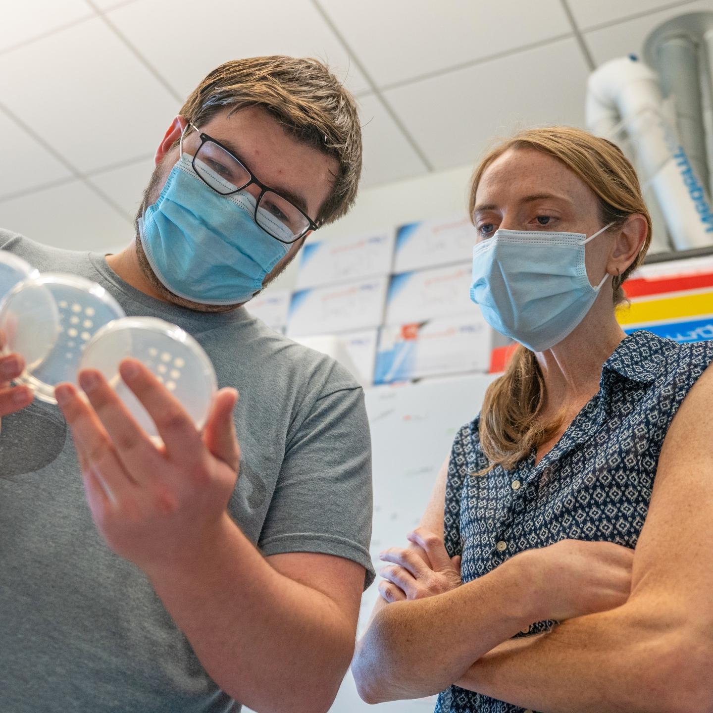 Bethany Strunk looks at petri dishes with a student in her lab